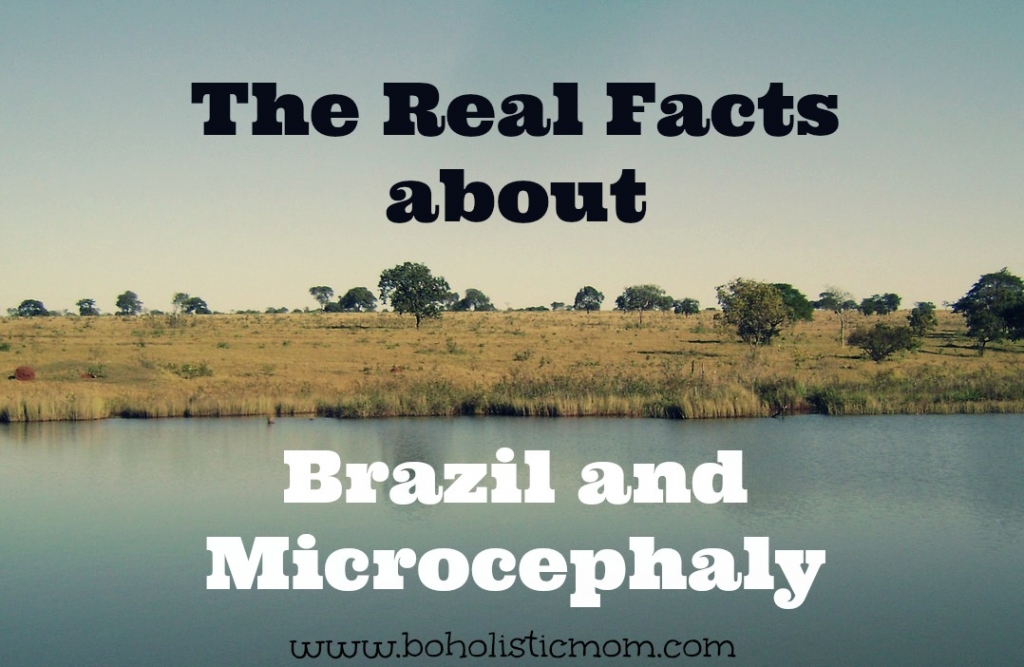 Brazil and Microcephaly | Boholistic Mom
