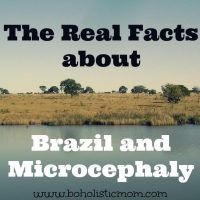 Brazil and Microcephaly – The Real Facts