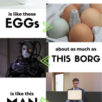 Real Eggs Vs Borg Eggs – Learn More Now