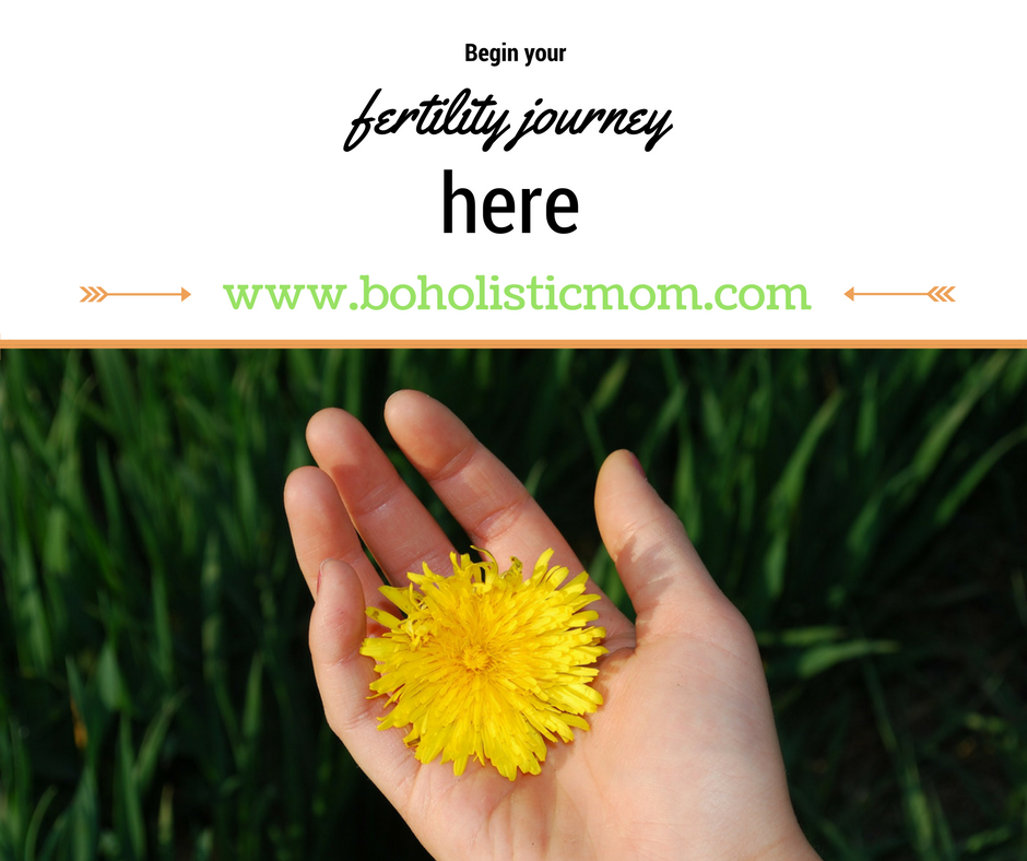 Taking Charge of Your Fertility - Boholistic Mom