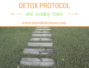 Detox Protocol - Fibromyalgia