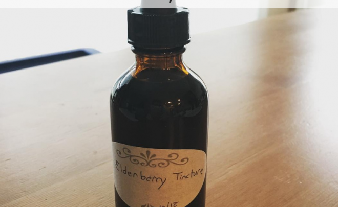 Elderberry Tincture Recipe Herbal Remedy