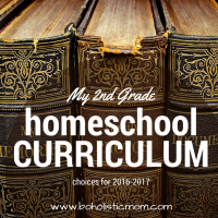 2nd Grade Homeschool Curriculum for 2016