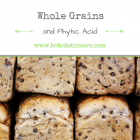 Whole Grains and Phytic Acid – Process grains naturally