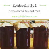 Kombucha 101 – Fermented Sweet Tea